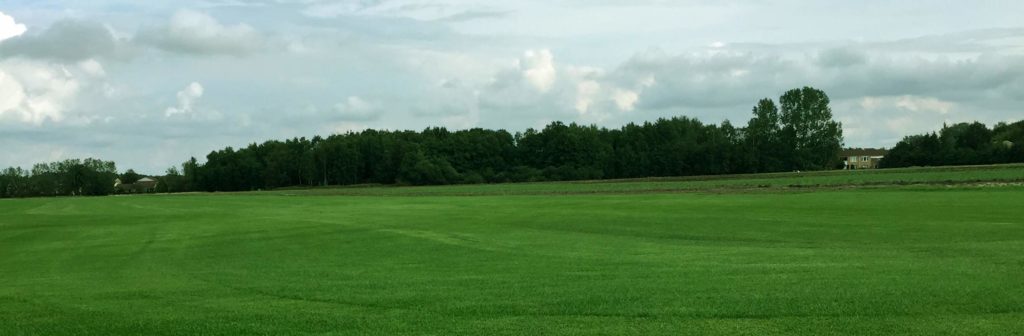 Varukorg