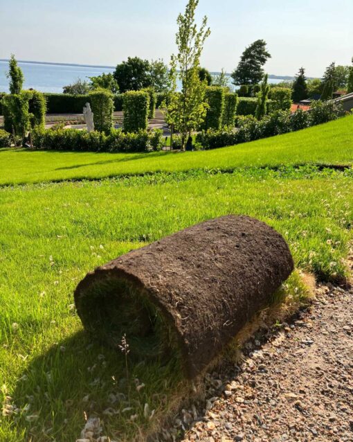 Turfman Garden - Bild 2